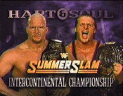 Stonecold Steve Austin vs. Owen Hart