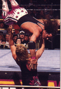 Owen Hart King of the Ring 1994 winner